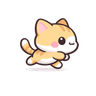 고양이